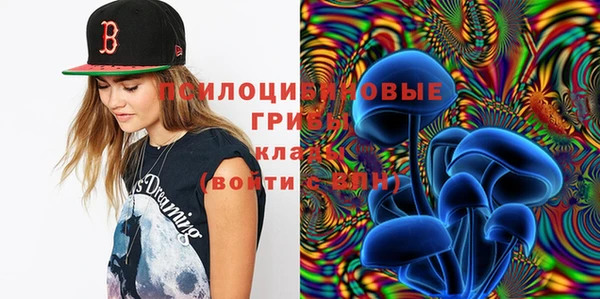 дмт Арсеньев